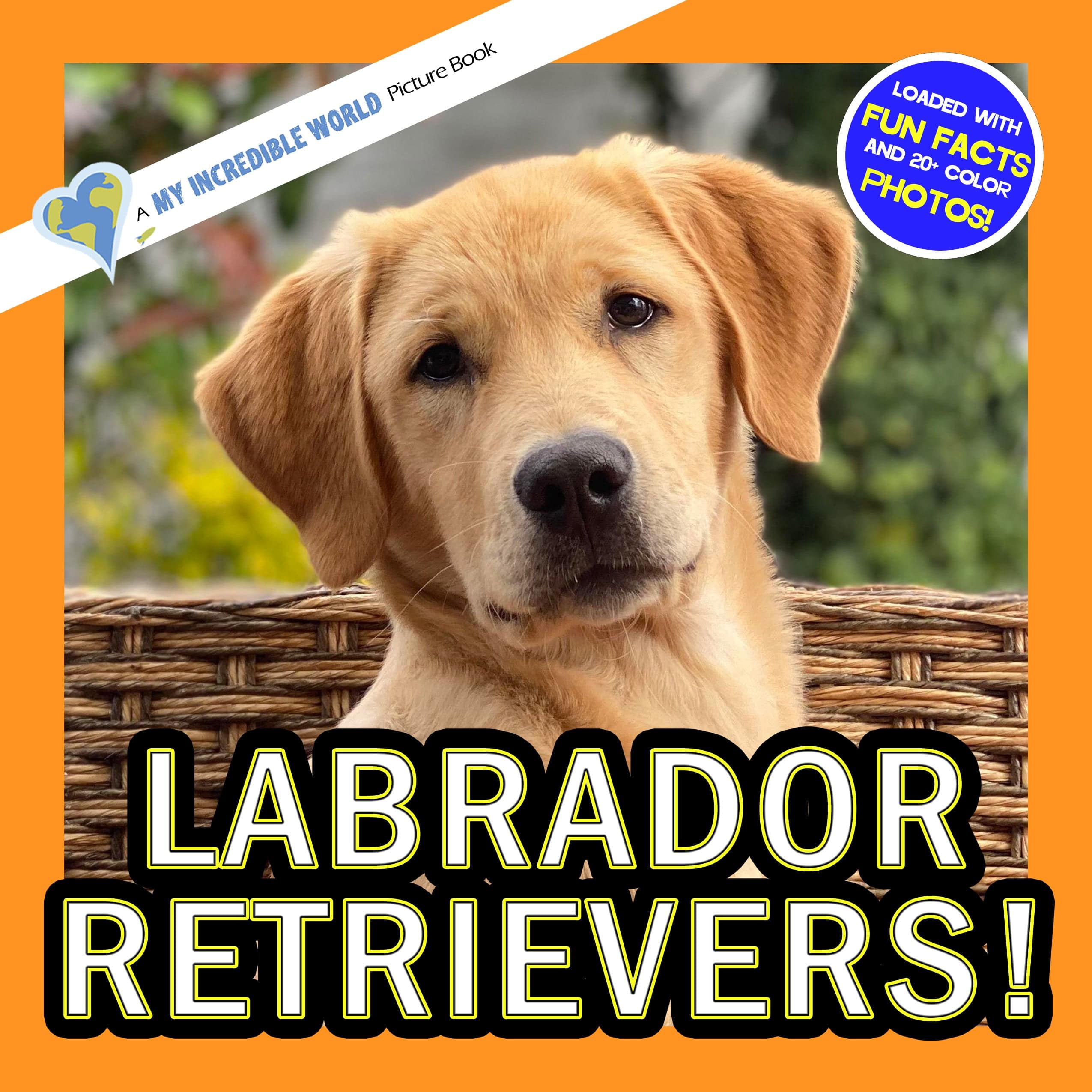 Labrador Retrievers! A My Incredible World Picture Book for Children
